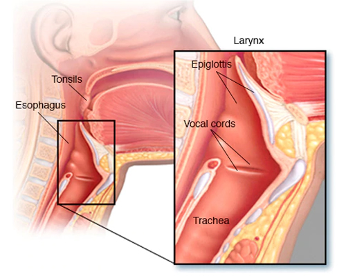 Best Oncologist in Jaipur
